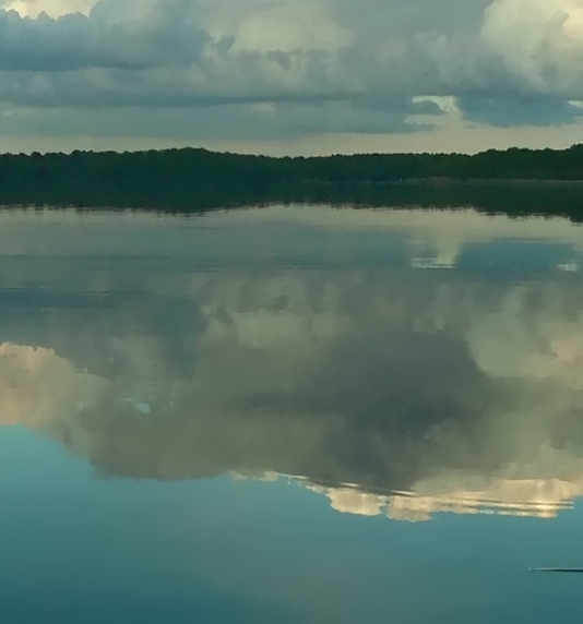 推荐粉象生活视频