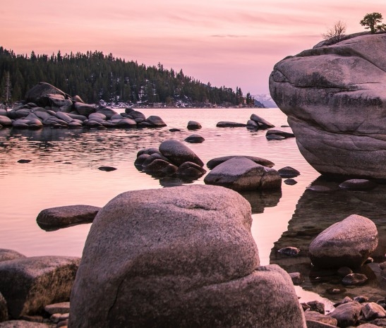 广东正规粉象生活好不好
