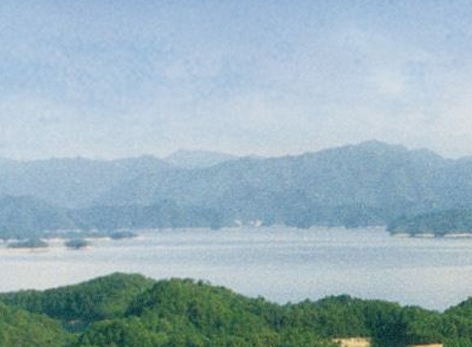 粉象生活怎么快速推广