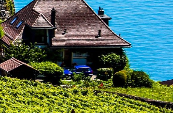 粉象生活邀请码