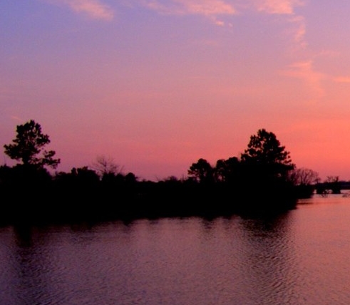 粉象生活怎样升级合伙人