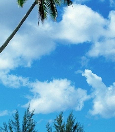 粉象生活app靠谱吗