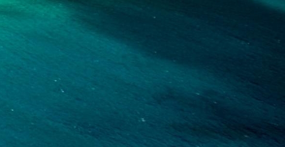 湖南一站式粉象生活推广