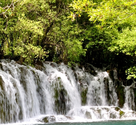 粉象生活日推广