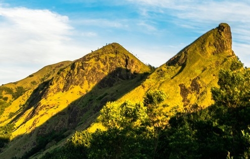 粉象生活用户名修改