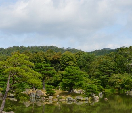 加入粉象生活赚钱