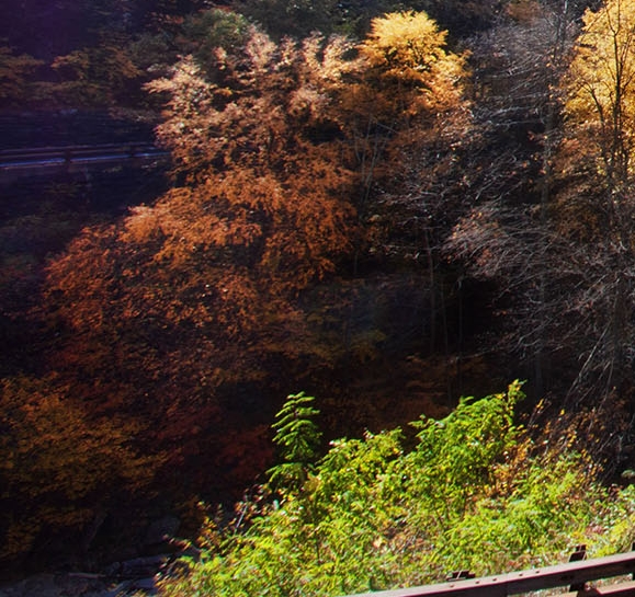 粉象生活怎么用账号登录
