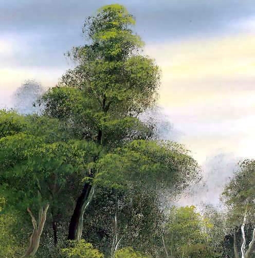 粉象生活可以分享到哪些网站