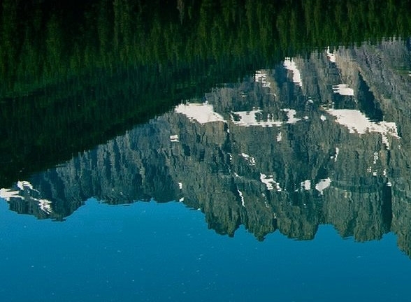 粉象生活涵盖哪些平台