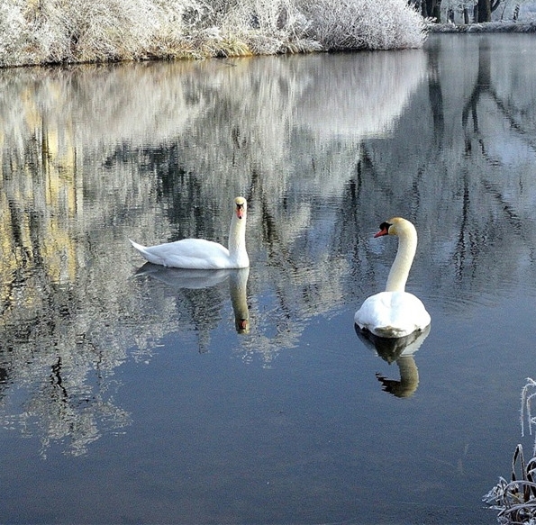 粉象生活商家版怎么操作