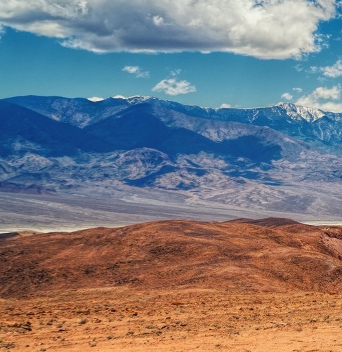 粉象生活项目书