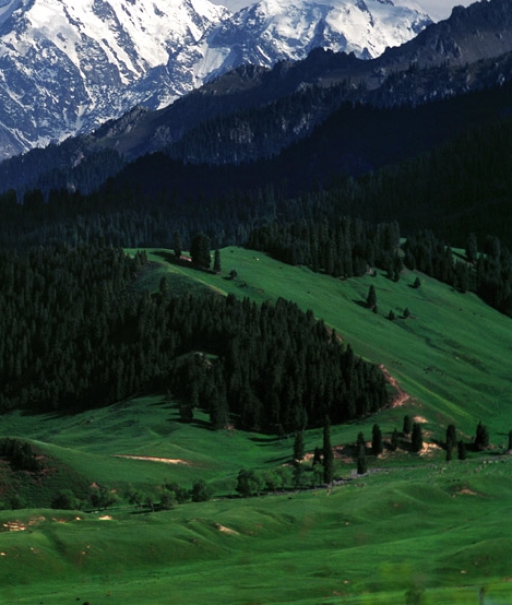 粉象生活赚钱的机会有多大