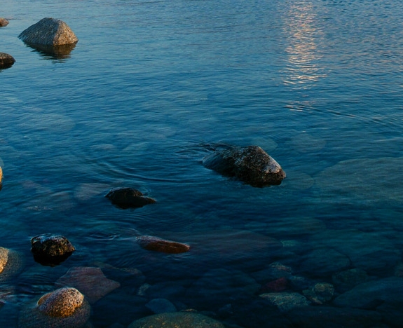 淘宝兼职粉象生活