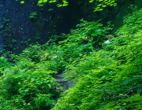 粉象生活如何开通代理