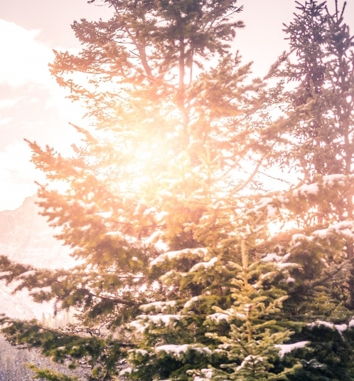 投资粉象生活好吗