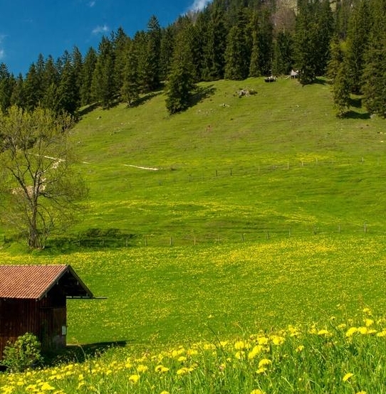 粉象生活开店文案图片