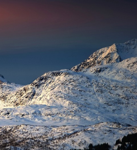 粉的冒泡什么意思