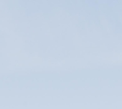 粉象生活能赚到钱吗