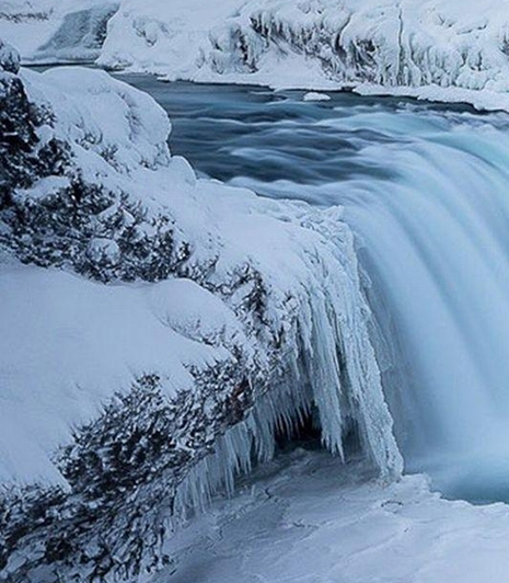 泰安粉象生活收费