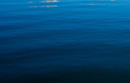 粉象生活下载app