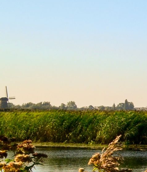 粉象生活购物平台真实吗
