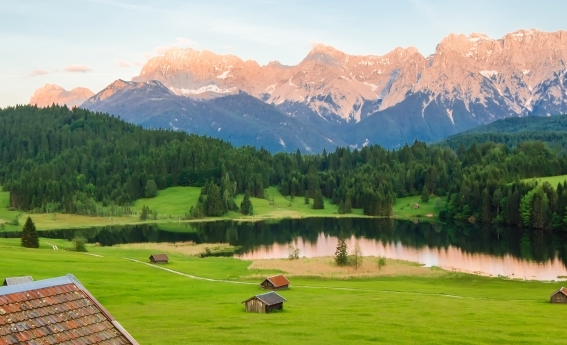 粉象生活怎么查找新的商品