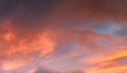 粉象生活下载app