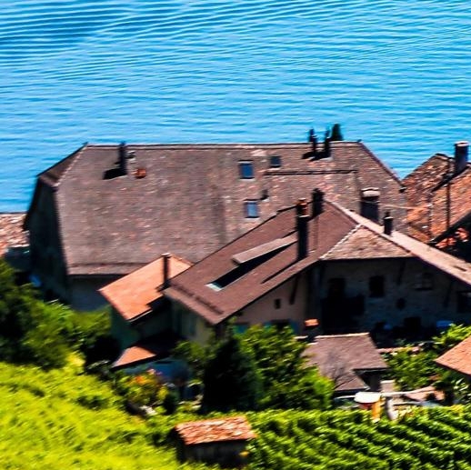 上海高端粉象生活靠谱么