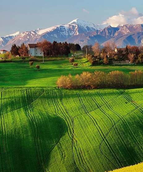 粉象生活加入购物车还可以返佣金吗