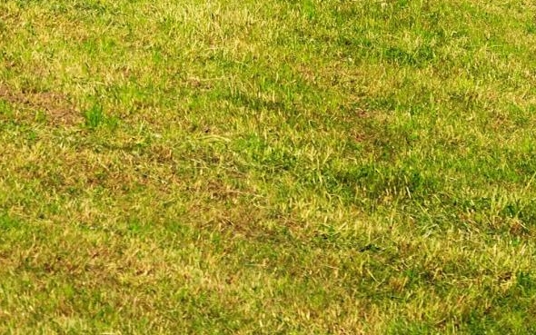 粉象生活注册图解