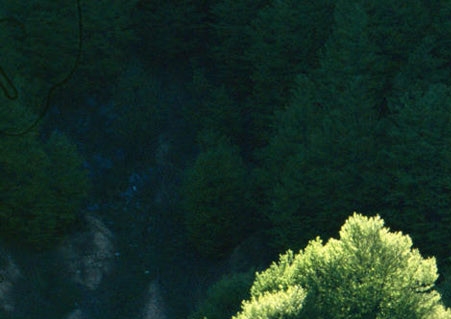 粉象生活最多邀请多少人