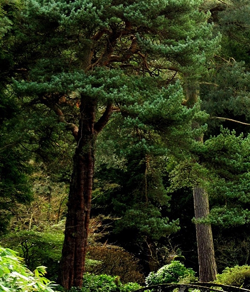 广州粉象生活图片