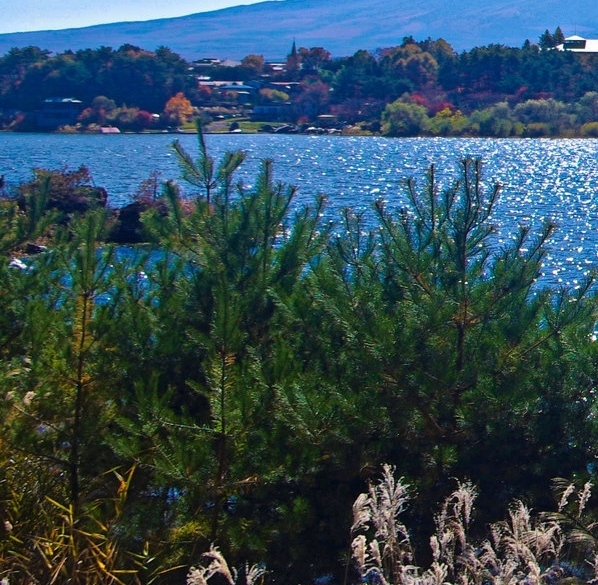 粉象生活怎么开通推广