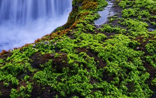 粉象生活怎么才能上微头条