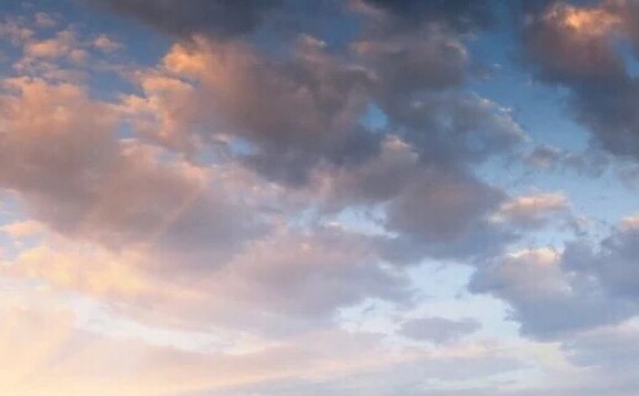 用粉象生活买东西、返现卖家能看到吗