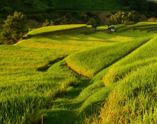 粉象生活怎么填别人的邀请码