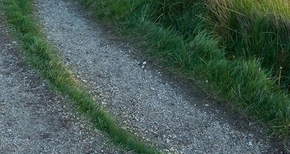 粉象生活怎么赚钱的