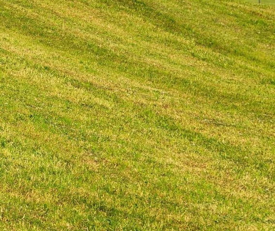 粉象生活邀请码