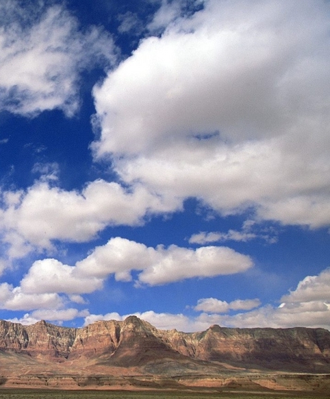 粉象生活怎么获奖