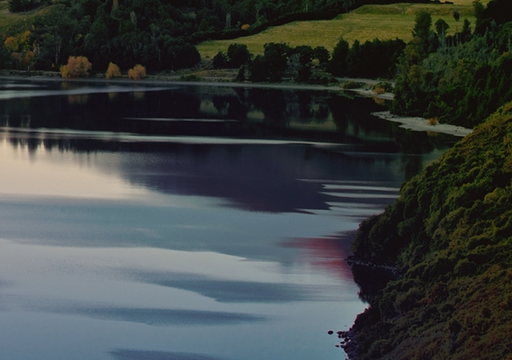 粉象生活邀请人