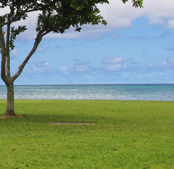 粉象生活是什么?