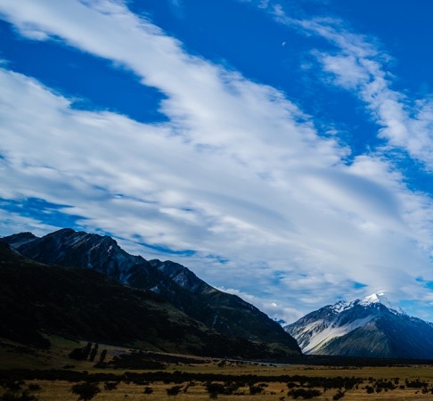 粉象生活底下的人成为合伙人