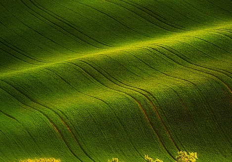 粉象生活是什么?