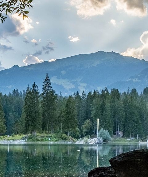 粉象生活收费吗