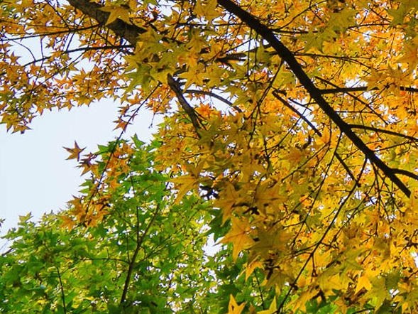 怎么找到粉象生活