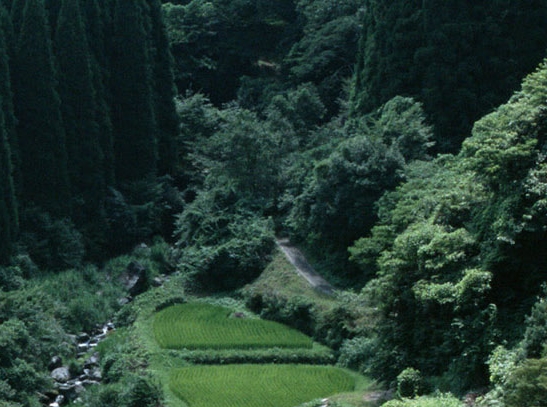 延安粉象生活软件