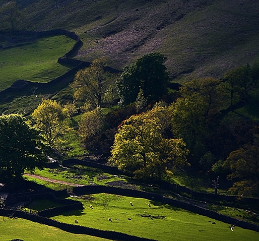 怎么获取粉象生活邀请码