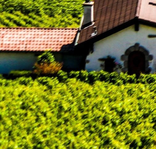 粉象生活的开店成本