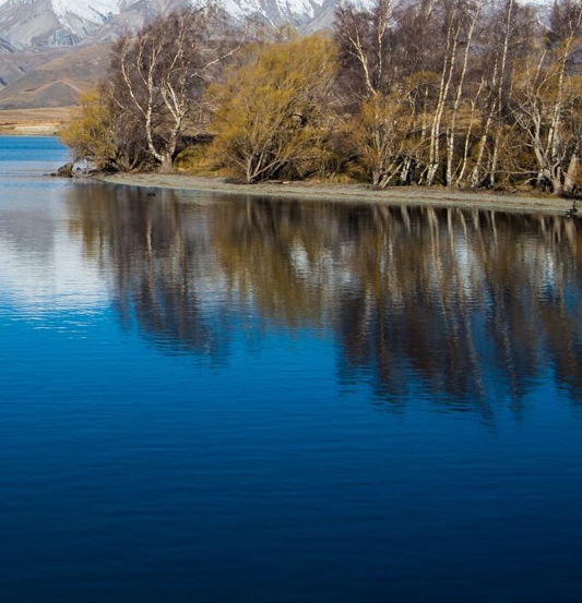 粉象生活招聘待遇
