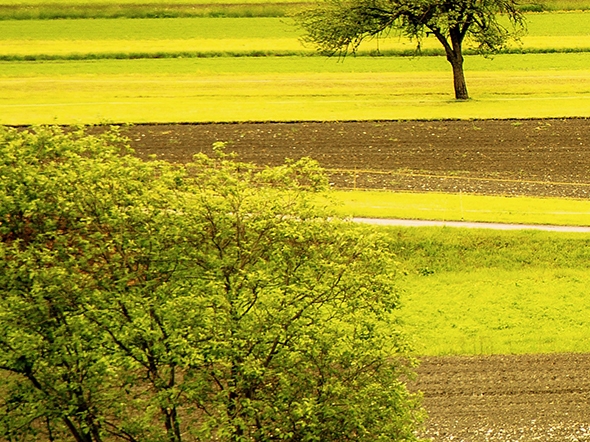 粉象生活vip等级